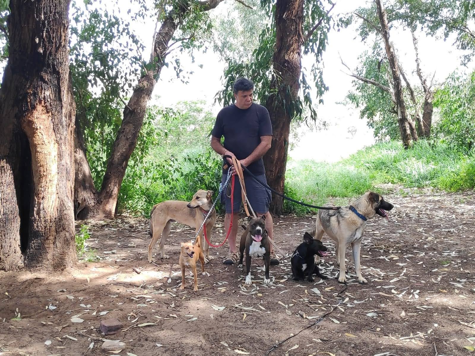 תמונה מהגלריה