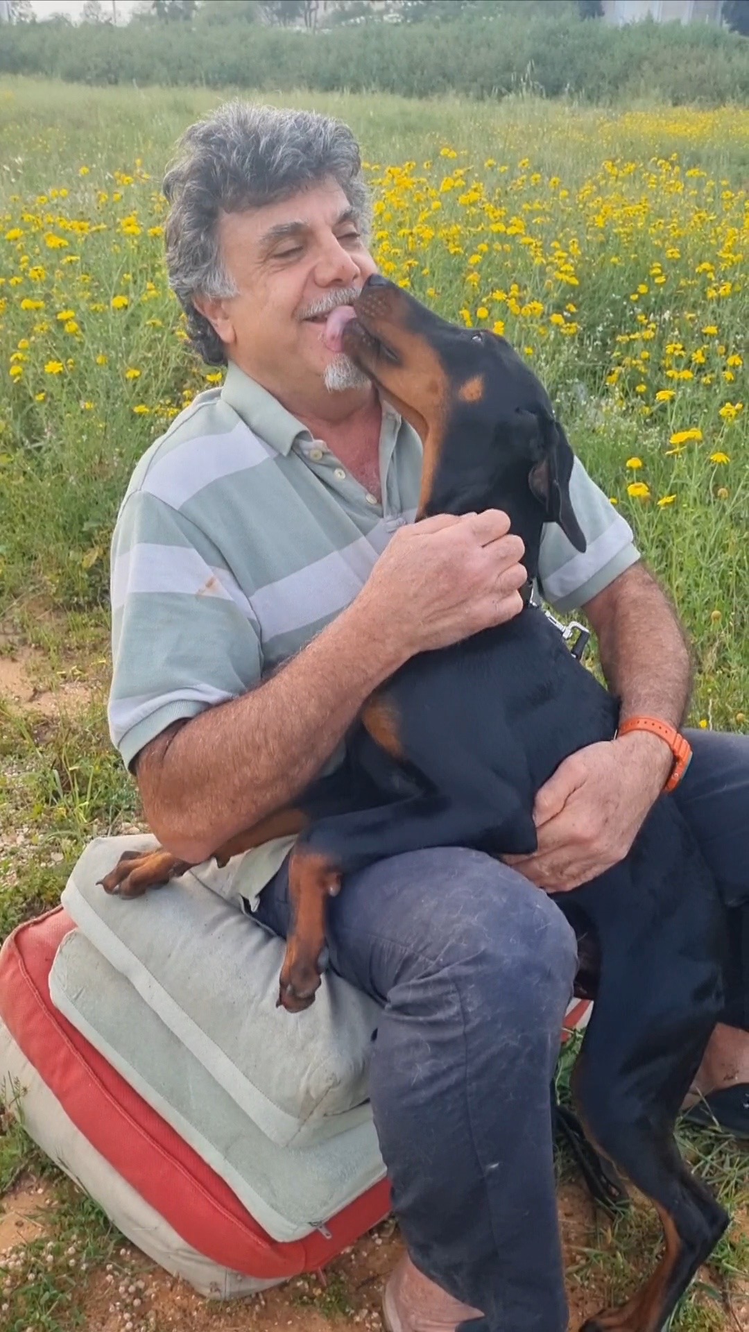 תמונה מהגלריה