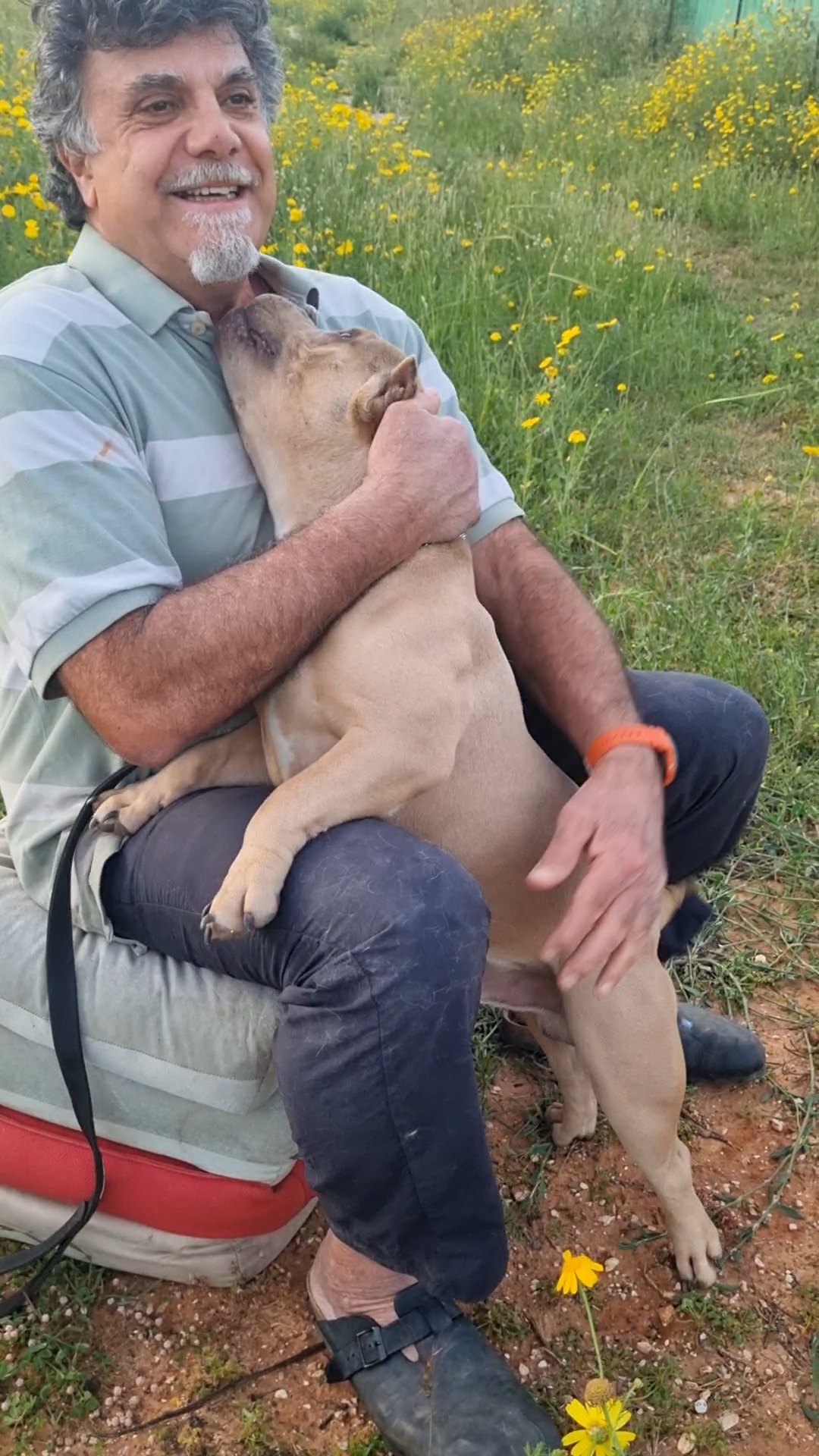 תמונה מהגלריה