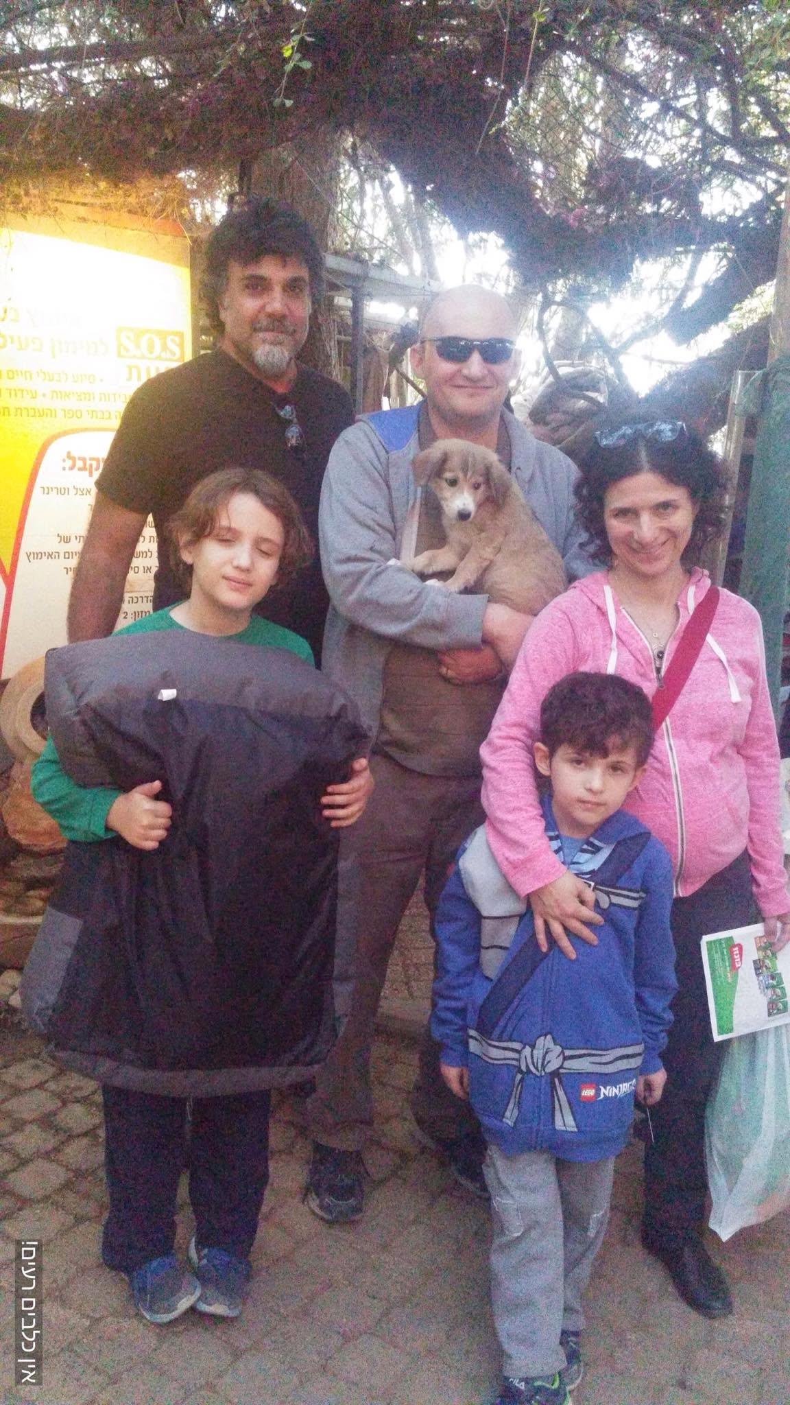 תמונה מהגלריה