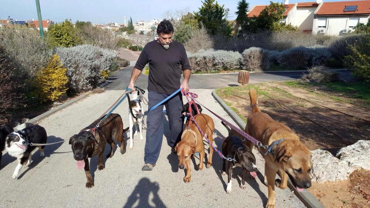 תמונה מהגלריה