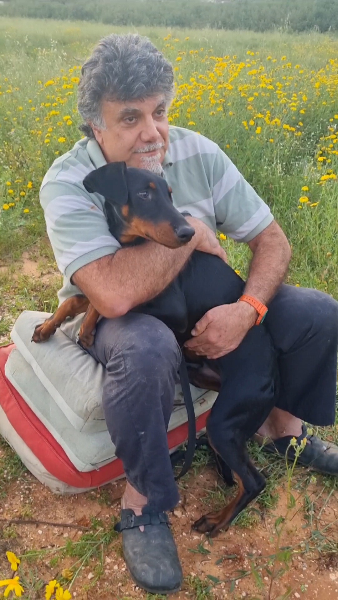 תמונה מהגלריה