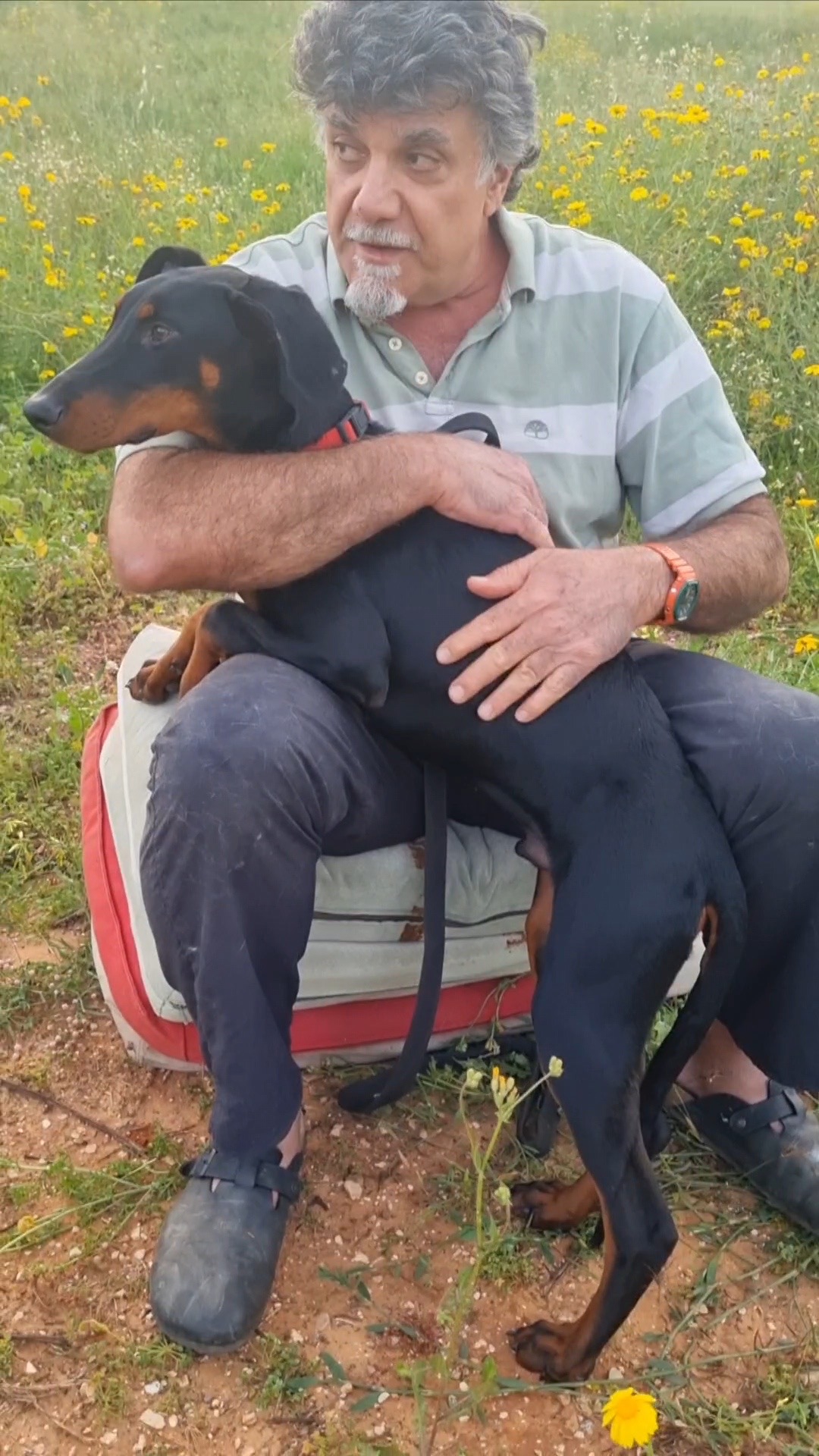 תמונה מהגלריה