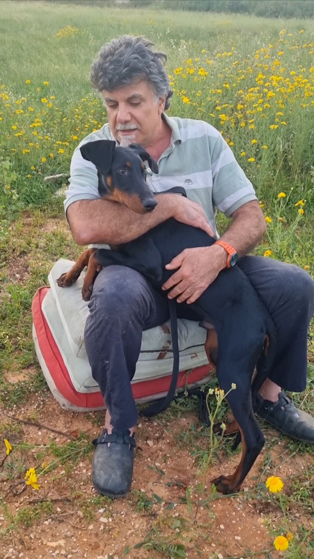 תמונה מהגלריה