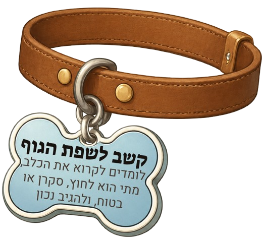קשב לשפת הגוף. לומדים לקרוא את הכלב — מתי הוא לחוץ, סקרן או בטוח — ולהגיב נכון.