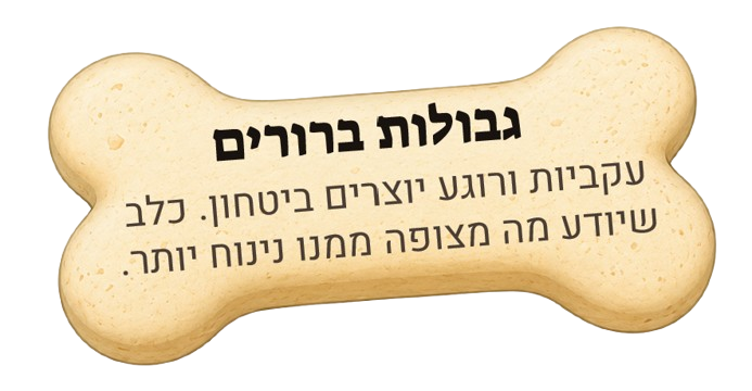 גבולות ברורים. עקביות ורוגע יוצרים ביטחון. כלב שיודע מה מצופה ממנו — נינוח יותר.