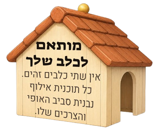 מותאם לכלב שלך. אין שתי כלבים זהים. כל תוכנית אילוף נבנית סביב האופי והצרכים שלו.