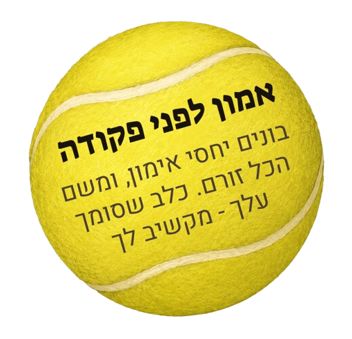 אמון לפני פקודה. בונים יחסי אמון, ומשם הכל זורם. כלב שסומך עליך — מקשיב לך.